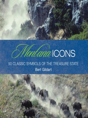 cover image of Montana Icons
